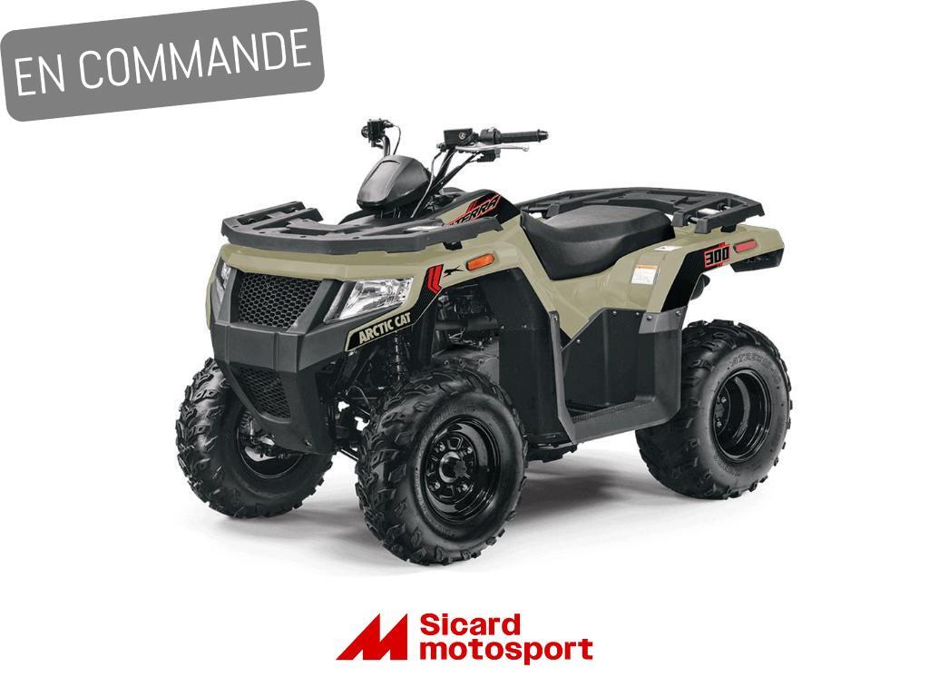 Arctic Cat Alterra 300 2024