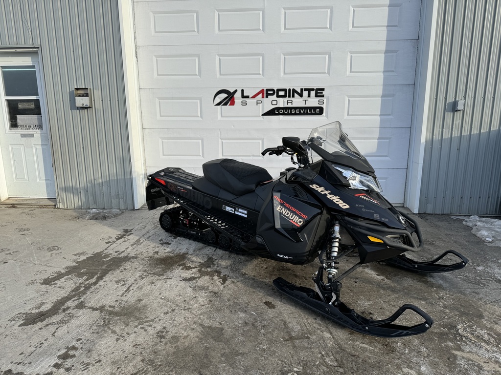 Ski-Doo Renegade Enduro 1200 4-TEC 2017