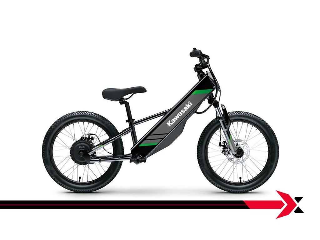 Kawasaki Elektrode 2025