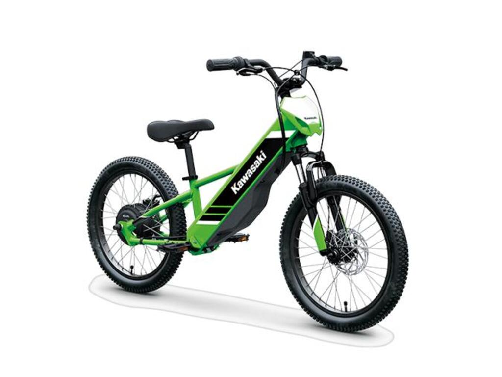 Kawasaki Elektrode 2025