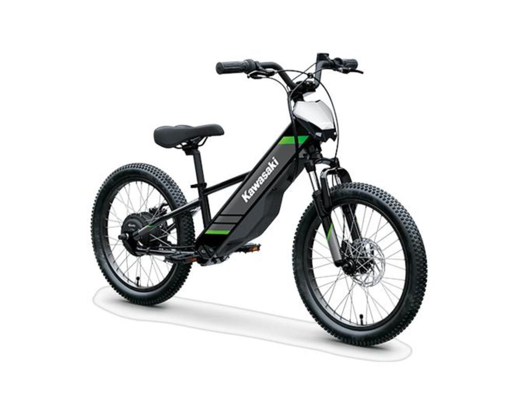 Kawasaki Elektrode 2025