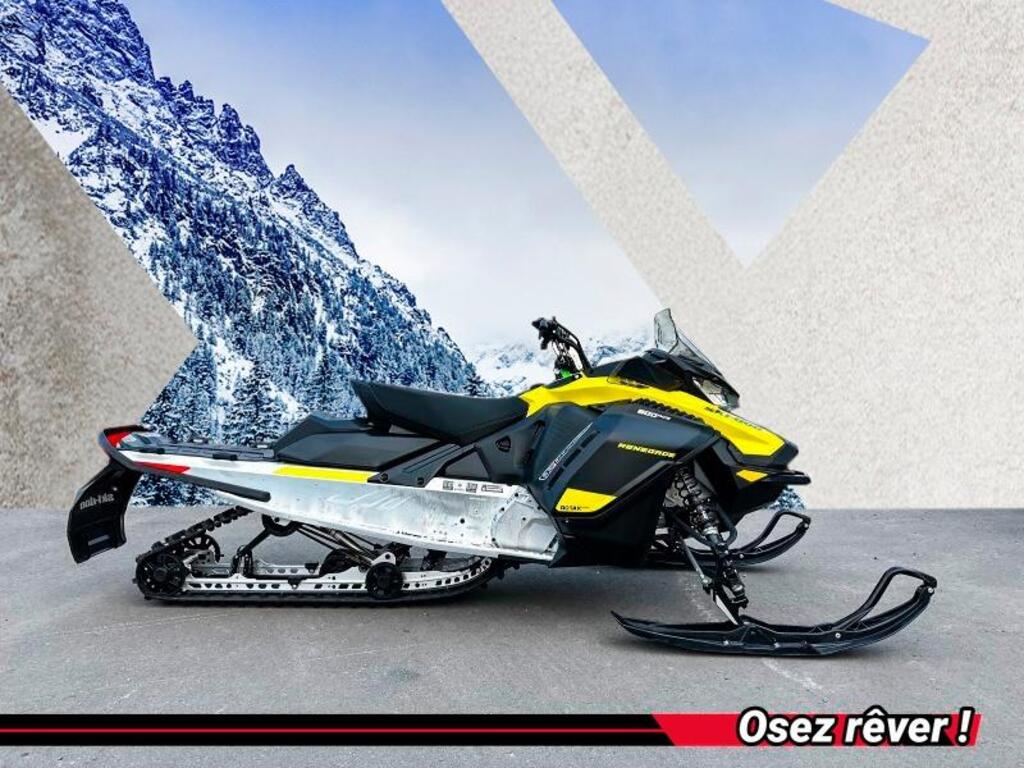 Ski-Doo RENEGADE 600 ace SPORT 2022