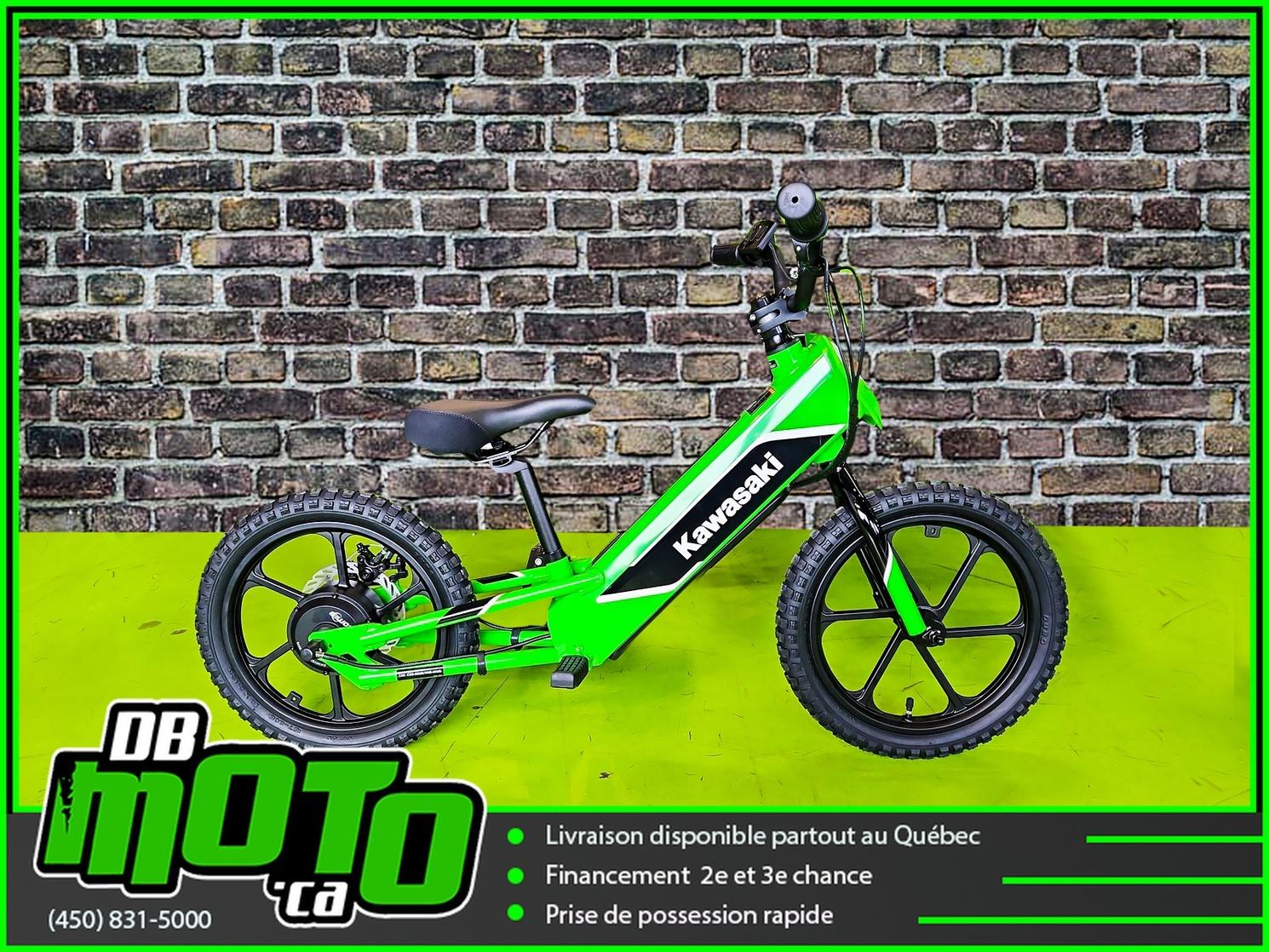 Kawasaki ELEKTRODE 2024