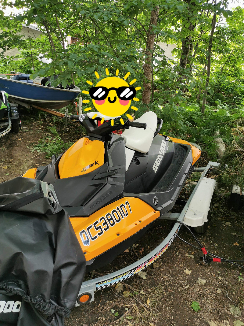 SEA-DOO SPARK 2015 (2017)