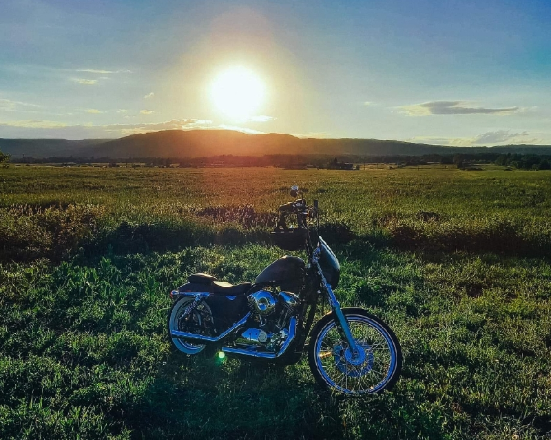 Harley Davidson Sporster 2012