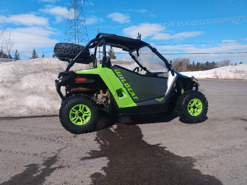 Arctic cat édition limitée, 2018, modèle 700